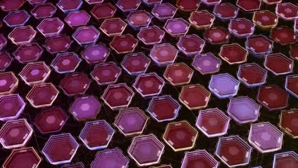 Abstract grid of colorful hexagons of red and violet colors. Animation. Numbers and geometric shapes presenting data transfer process. — Stock Video