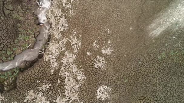 Aerial view of a dry lake bottom with deeply cracked soil and a small water spring. Video. Unusual texture with many cracks in the ground, concept of weather change and global warming. — Stock Video