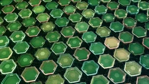 Технологический шестиугольник Scifi зеленого цвета с четырьмя цифрами. Анимация. 3D красочные расплывчатые фигуры, бесшовный цикл. — стоковое видео