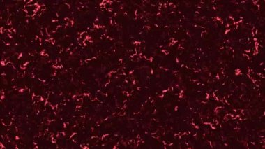 Kırmızı arka plan ve retro ses efekti. Animasyon. Renkli arkaplan üzerinde retro efekt yapmak için arka planda parazit ve filmler. Örtülmesi gereken geçmişe dönük parazit ya da kusurlar