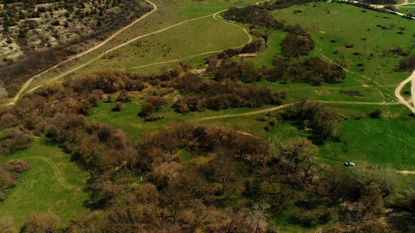 緑のフィールドの美しい航空風景、インドネシア。撃たれた。緑豊かな夏の自然の牧草地や茂みと農村風景を飛び越える. — ストック写真