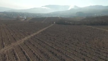 Kuru topraklı tarım alanlarının havadan görünüşü. Vuruldu. Küresel ısınma ve kuraklık kavramı, güney bölgesindeki kurumuş çiftliklerin üzerinde uçuyor..