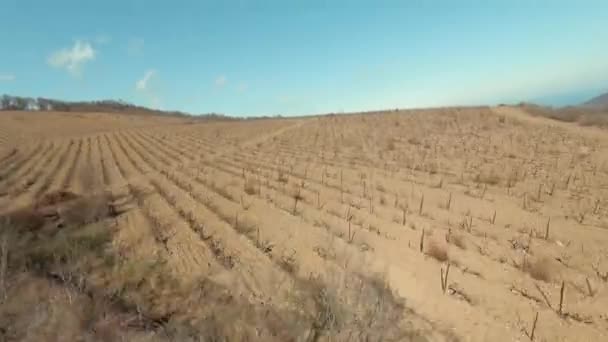 Letecký pohled na zemědělská pole se suchou půdou. Zastřelen. Koncept globálního oteplování a sucha, letící nad dehydratovanými plantážemi v jižním regionu. — Stock video