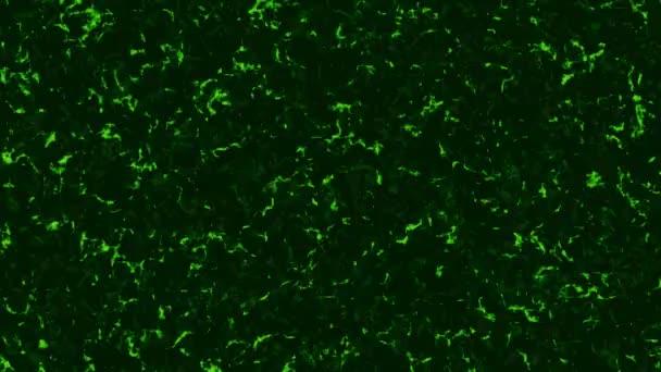Gürültü ve toz parçacıklarıyla yeşil arkaplan. Animasyon. Matrix 'te yeşil arka plan ve çatlaklar ile arıza etkisi. Yeşil arka planlı Grunge etkisi. Yeşil arkaplanda gürültü, toz ve lekeler — Stok video