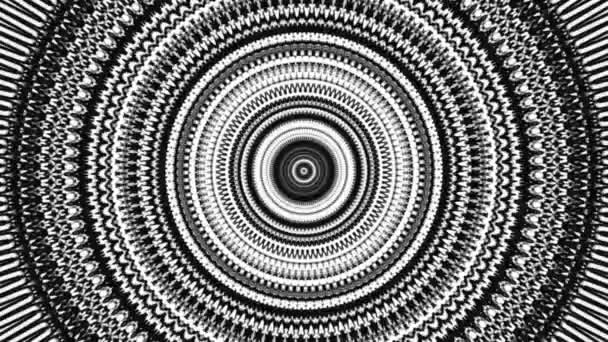 Abstraktes, kreisförmiges, monochromes Mandala-Muster, nahtlose Schleife. Animation. Schwarz-weiß blinkende schmale Ringe verbreitern sich nacheinander mit Stop-Motion-Effekt. — Stockvideo