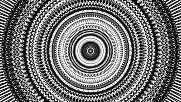 Abstrato padrão mandala monocromático circular, loop sem costura. Animação. Preto e branco piscando anéis estreitos ampliar um por um com um efeito stop motion. — Vídeo de Stock