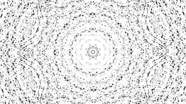 Abstract zwart wit geanimeerd caleidoscoop patroon met een stop motion effect. Animatie. Monochrome kaleidoscopische mandala op witte achtergrond. — Stockvideo