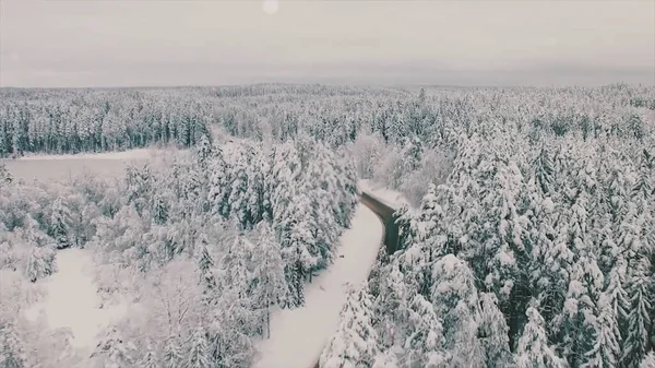 空中俯瞰着覆盖着空旷道路和冬季森林的积雪.场景。沿路生长着混交林的自然背景. — 图库照片