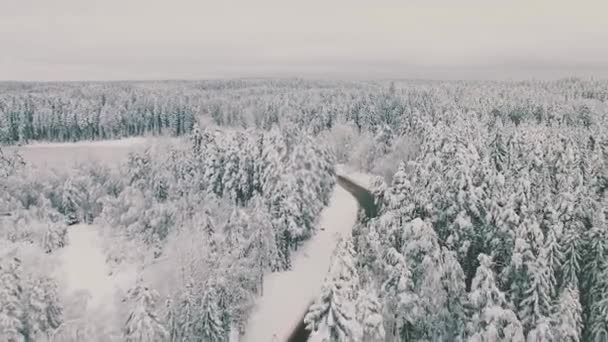 Widok z powietrza na pokrytą śniegiem pustą drogę i zimowy las. Scena. Naturalne tło z lasem mieszanym rosnącym wzdłuż drogi. — Wideo stockowe