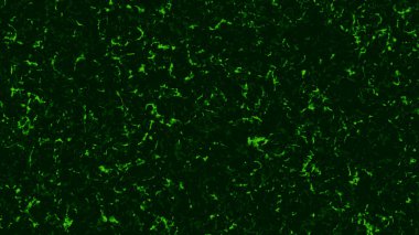Gürültü ve toz parçacıklarıyla yeşil arkaplan. Animasyon. Matrix 'te yeşil arka plan ve çatlaklar ile arıza etkisi. Yeşil arka planlı Grunge etkisi. Yeşil arkaplanda gürültü, toz ve lekeler
