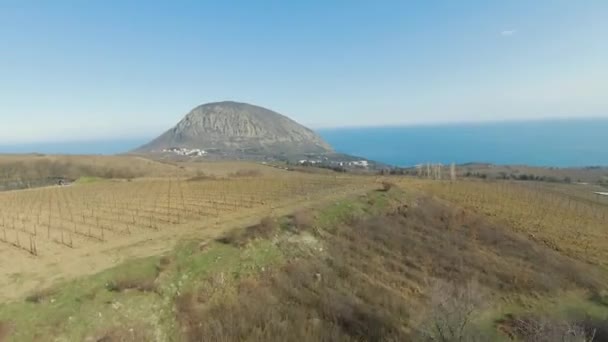 Vue de dessus de beau paysage de champs sur fond de montagnes et de mer. Fusillade. Paysages printaniers secs avec champs agricoles jaunes près de la côte. Paysages côtiers avec champs agricoles printaniers — Video