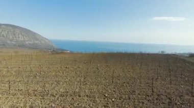 Denizin arka planında tarlalar sürüldü. Vuruldu. Bahar mevsiminde yeni fidelerin olduğu tarlaların en üst görüntüsü. Güneşli bir günde, dağ kıyısının arka planındaki tarlalar