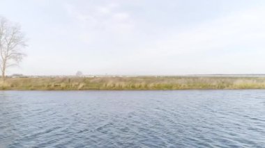 Geniş, sakin bir nehrin, yeşil çimenli dalgaların ve arka planda mavi bulutlu gökyüzünün yan görüntüsü. Video kaydı. Güzel bir nehri ve yeşil çayırı olan doğa manzarası..
