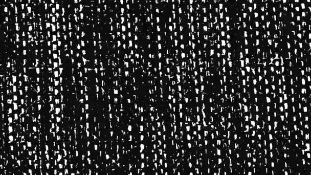 Crazy monochrome wallpaper with blinking white dotted lines on black background, seamless loop. Animation. Drops o pulsing texture, stop motion effect. — Stock Video