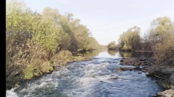 Un fiume che scorre veloce circondato da alberi verdeggianti e fogliame. Un video. Veduta aerea di un fiume che scorre veloce con fondo sassoso in una giornata di sole estiva. — Video Stock
