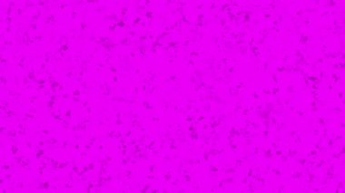Pembe arka planda yüzen minyatür moteller, pürüzsüz bir döngü. Animasyon. Rastgele hareket eden parçacıklar rüzgar tarafından üflenir gibi, hareket efektini durdur.