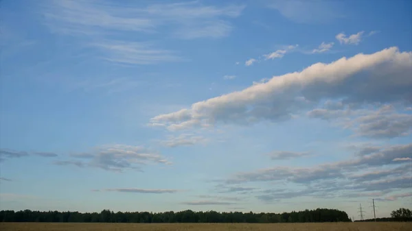 Vista inferiore del bellissimo cielo estivo con nuvole bianche. Un video. Sfondo naturale con un campo, foresta e cielo luminoso. — Foto Stock