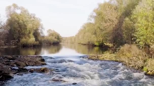 Un fiume che scorre veloce circondato da alberi verdeggianti e fogliame. Un video. Veduta aerea di un fiume che scorre veloce con fondo sassoso in una giornata di sole estiva. — Video Stock