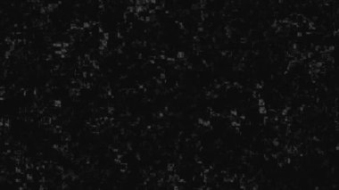 Bozuk olan eski VHS video kaseti ya da titreyen parazit efekti, siyah ve beyaz. Animasyon. Analog klasik televizyon sinyali, dikişsiz döngü, monokrom.