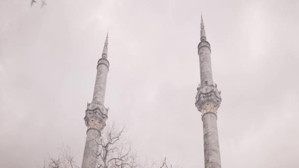 在阴云密布的天空背景、伊斯兰宗教的概念和建筑的基础上的白色清真寺的底部视图。行动。漂亮的土耳其清真寺和一棵秃树. — 图库视频影像