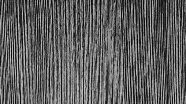 Patrón monocromo abstracto con rayas parpadeantes verticales blancas sobre fondo negro, lazo sin costuras. Animación. Detener el efecto de movimiento con líneas móviles. — Vídeos de Stock
