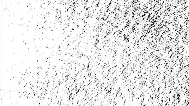 Astratto sfondo bianco con sfocato lampeggiante nero piccole macchie nere casuali. Animazione. Effetto glitch monocromatico su tutto lo schermo, loop senza soluzione di continuità. — Video Stock