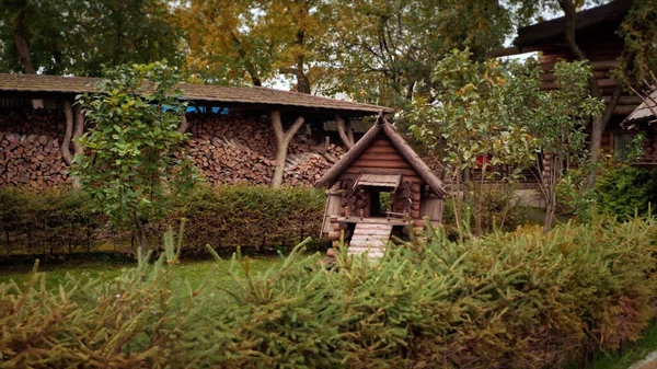 Wspaniały dekoracyjny dom Baby Jaga w parku w zalesionym terenie w pełnym rozmiarze. Nagranie. Koncepcja folkloru rosyjskiego, bajek. — Zdjęcie stockowe