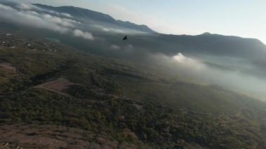 Uçurumun ve yaz ormanlarındaki dağlık alanlardaki kayaların havadan görünüşü. Vuruldu. Bir kaya eğiminin hava panoramik görüntüsü ve arka plandaki ağaçların üzerindeki bulutlar.
