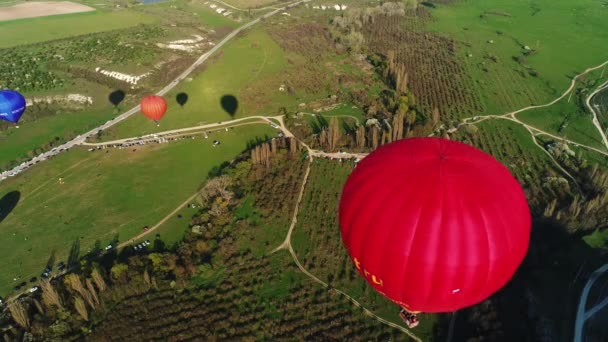 Luchtfoto van kleurrijke ballonnen vliegen over een groen veld op een zomerse zonnige dag. Neergeschoten. Concept van romantische dag, vliegen in de lucht. — Stockvideo