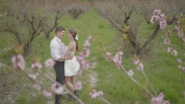 新婚夫婦は春に木に抱擁する。行動だ。自然を背景に新婚の光と抱擁。花嫁と新郎のカップルは春の木で抱擁 — ストック動画