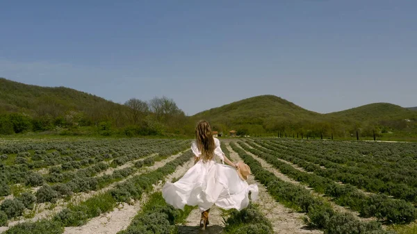 Beautiful young woman walks across field in white dress. Action. Young woman in dress runs spectacularly through farmers field. Beautiful woman in dress in field — Stock Photo, Image