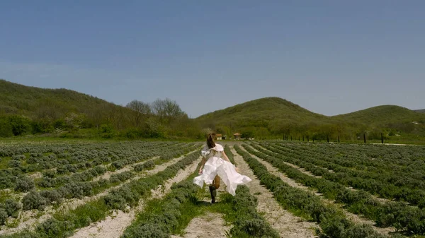 Beautiful young woman walks across field in white dress. Action. Young woman in dress runs spectacularly through farmers field. Beautiful woman in dress in field — Stock Photo, Image