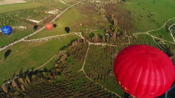 Αεροφωτογραφία πολύχρωμα μπαλόνια που πετούν πάνω από ένα πράσινο πεδίο σε μια ηλιόλουστη μέρα του καλοκαιριού. Πυροβολήθηκε. Έννοια της ρομαντικής ημέρας, πετώντας στον ουρανό. — Αρχείο Βίντεο