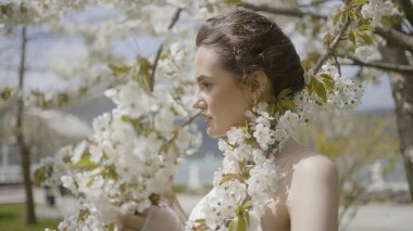 Çiçek açan elma ağacında güzel bir gelin. Başla. Genç gelin fotoğraf çekiminde çiçek açan ağaçla poz veriyor. Baharda çiçek açan ağaçla birlikte gelinin narin görüntüleri.