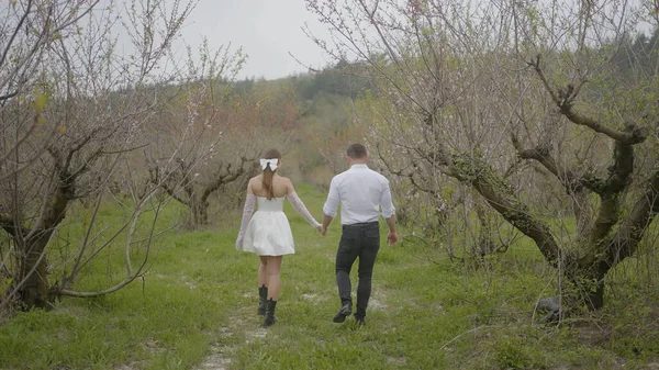 Piękni nowożeńcy spacerujący po przyrodzie w lesie. Akcja. Młoda para nowożeńców spaceruje w pochmurnej pogodzie w naturze. Stylowe nowożeńcy w nowoczesnych strojach chodzić w lesie — Zdjęcie stockowe