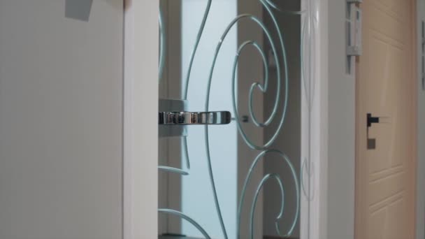 Detalles del interior del apartamento. Vídeo. Primer plano de una puerta de espejo de vidrio con patrón de rizos y un mango de plata, diseño de interiores. — Vídeo de stock