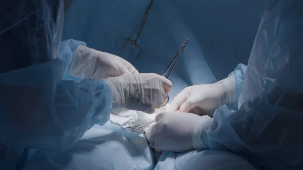 Sutureren tijdens de operatie. Actie. Handen van professionele chirurgen snel omgaan met hechten. Chirurgische knopen voor hechtingen op open wond — Stockfoto