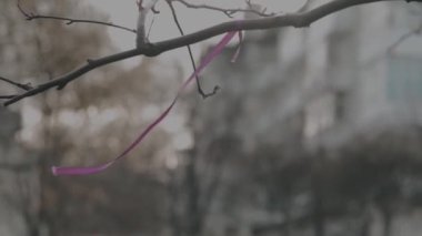 Rüzgarda sallanan pembe kurdeleli kel bir ağaç dalına yaklaş. Video kaydı. Evleri olan bir şehir avlusunun bulanık arka planında sonbahar ağacı dalı.