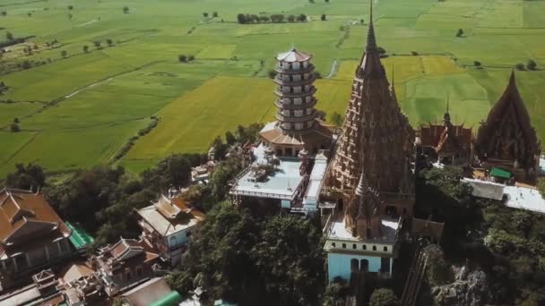 从空中俯瞰绿色农田背景上的寺庙建筑群.视频。宗教和建筑的概念，农村地区不同寻常的建筑. — 图库视频影像