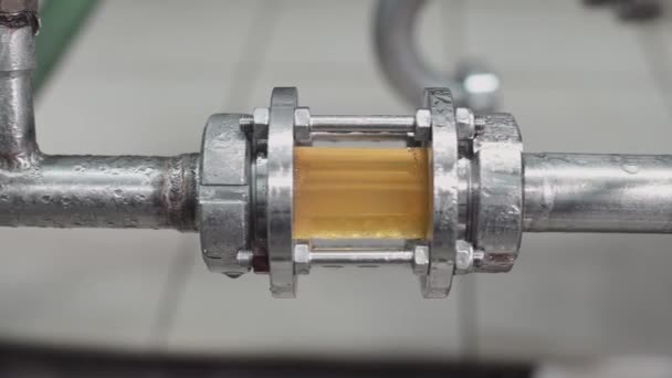 Primer plano de una tubería de acero con fragmento de vidrio para el control de calidad de la cerveza. Vídeo. Producción artesanal de cerveza en la moderna cervecería. — Vídeos de Stock