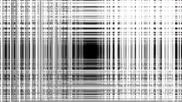 Blanco y negro Túnel de líneas horizontales y verticales blancas, fondo geométrico abstracto. Animación. Patrón monocromo con una cuadrícula de rayas cruzadas. túnel de líneas verticales monocromáticas VJ, abstracto — Vídeo de stock