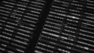 IP adresleri ve şifreler. Animasyon. Veritabanı içindeki ağ kullanıcılarının tüm parolalarının ve adreslerinin oluşturulması. Matrix içindeki parolaları ve adresleri içeren veritabanı