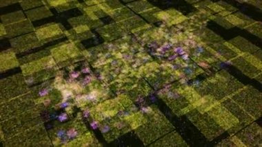 Milyonlarca bağlantısı ve sinyali olan bir bilgisayar işlemcisi. Animasyon. Anakart, yazıt işi, yüksek teknoloji konsepti..