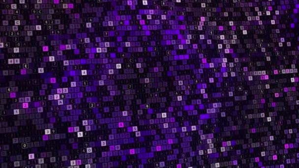 紫とピンクの汎用数のデジタルフィールド上の飛行、シームレスなループ。アニメーション。数字と文字でデジタル表面の3D波状リング. — ストック動画