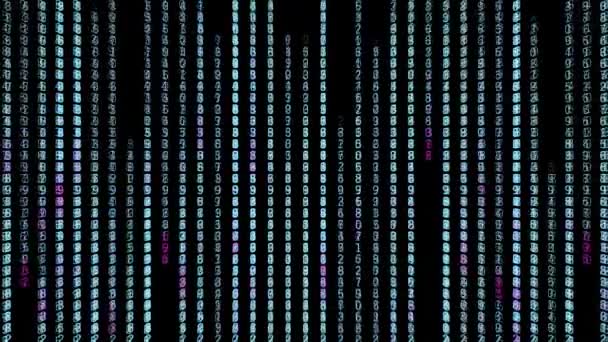 Pioggia di numeri nel computer. Mozione. Bellissimo sfondo hacker con linee di numeri che cambiano. Matrice pioggia di numeri colorati che cambiano su sfondo nero — Video Stock