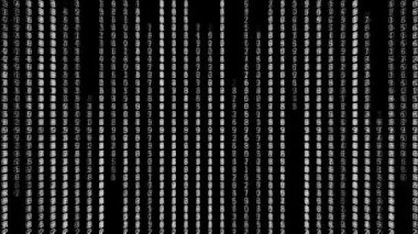 İkili satırlı matris arkaplanı. Hareket. Siyah arkaplanda numara değiştirme çizgileri. Siyah arkaplan üzerinde matris ve sayı sütunları efektli hacker arkaplanı