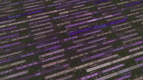 Abstract digital background of narrow horizontal stripes with hacking data. Animation. Purple background with passwords and secret encrypted information, seamless loop. — Stock Video