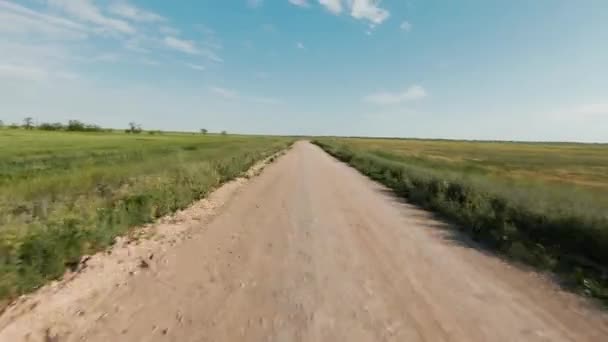 農業分野の近くの農村道路のトップビュー。撃たれた。ドローンは地平線を背景に青空を背景にフィールドロード上を飛ぶ。晴れた日に道路や緑のフィールドと美しい風景 — ストック動画