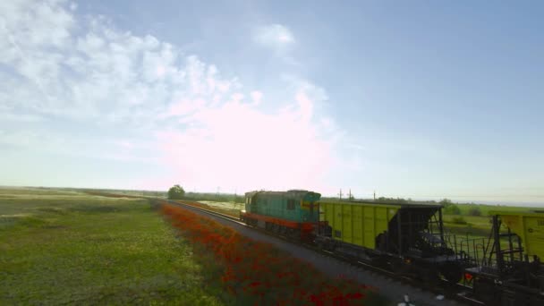 Tren está viajando en campo verde con flores. Le dispararon. Drone sigue tren de carga en el fondo de hermoso paisaje de verano. Tren va al horizonte con campos verdes en día soleado — Vídeos de Stock