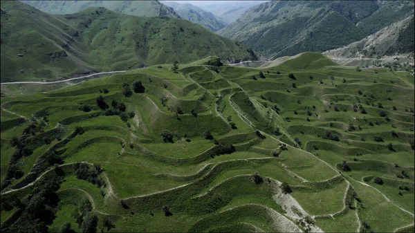 Aerial view of unusual mountain green slope with wavy formations covered by grass and rare trees. Action. Natural background with wild and huge summer hills. — Stock Photo, Image